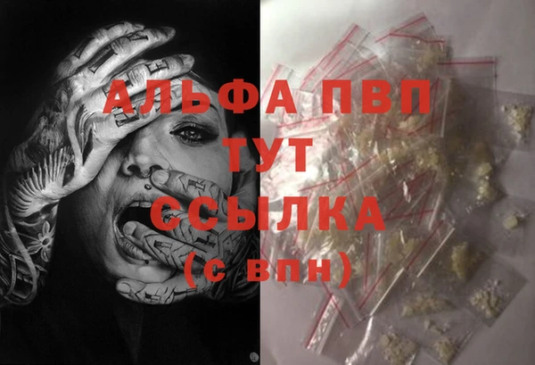 спиды Куйбышев