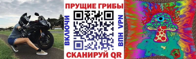 Псилоцибиновые грибы Cubensis  цены наркотик  Курчатов 